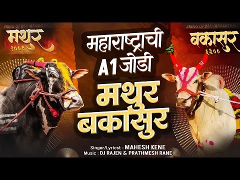 महाराष्ट्राची A1 जोडी मथुर-बकासुर | MATHUR-BAKASUR | New Bailgada Song | Mahesh Kene | Dj Rajen