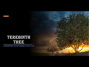 Terebinth tree: God's chosen place