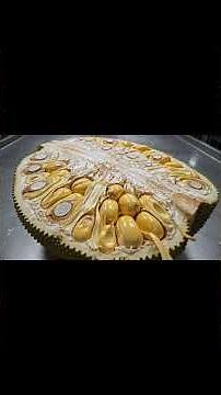 World’s Largest 45kg Jackfruit Harvested & Processed | Manufacturing Process Inside the Factory