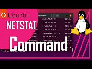 Commandes Netstat | Ubuntu