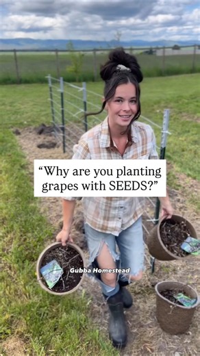 Why are you planting grapes with SEEDS? #garden #homestead