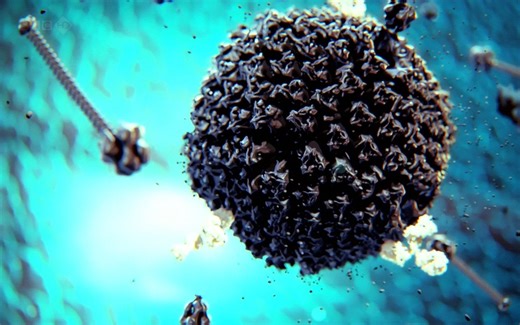 纪录片.人体秘密宇宙：细胞的隐秘生活.2012[片头][高清][英字]