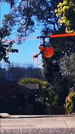 Blade 230s side on practice