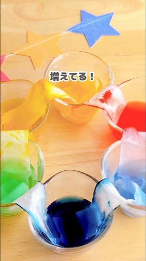 ＼3種の遊びを楽しめる／色水実験 #おうち遊び #知育遊び #実験 #子育て #工作 #ペーパーフラワー