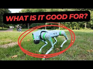 I asked ChatGPT to find me 10 uses for this robot dog