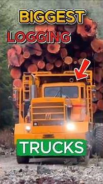 These are the 5 biggest logging trucks in the world. #machinery #automobile #truck #americantrucks