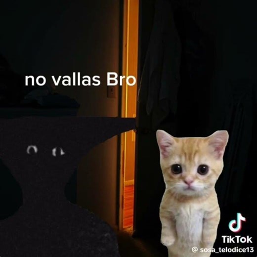 memes random 5# terror#humor