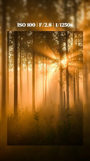 What do you think of the result? 👆🏼 Photo taken with the Nikon Z6 II Nikkor 70-200/2.8 lens. #naturephotography #povreels #photoinspiration #photographer #photography #photographyreels | Kevin Bruseby