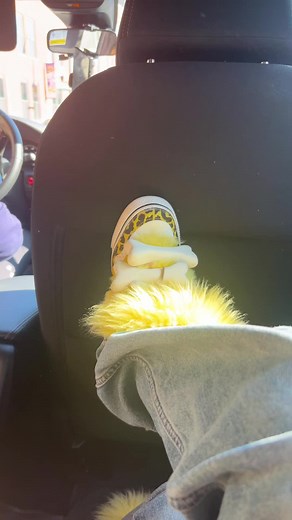 Fresh Perspectives on Archived Life