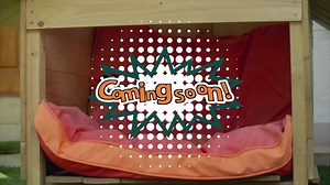 An exciting surprise for your doggo is right around the corner! Can you guess what it is? Stay tuned to find out! . . . . #HimalayaCompanionCare #Surprise #ComingSoon | Himalaya Companion Care