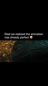 They finally understood 🙌 🎥 How to Train Your Dragon (2010) How to Train Your Dragon (live action - 2025) 🍿 Watch on Prime and Peacock #moovies | Moovies