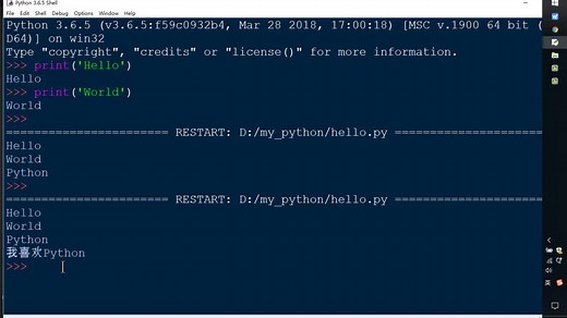 输入input的使用
