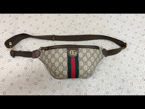Gucci Ophidia Small Gg Canvas Belt Bag In Beige Review