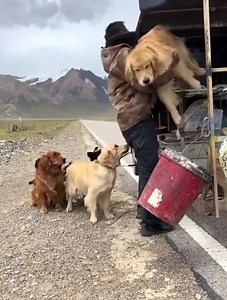 10K views · 251 reactions | The most beautiful thing you'll see today ❤ | The Amazing World | Facebook