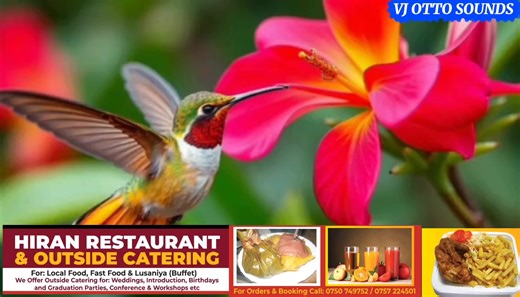 Exploring Kampala, Uganda: A Trending Video Snapshot