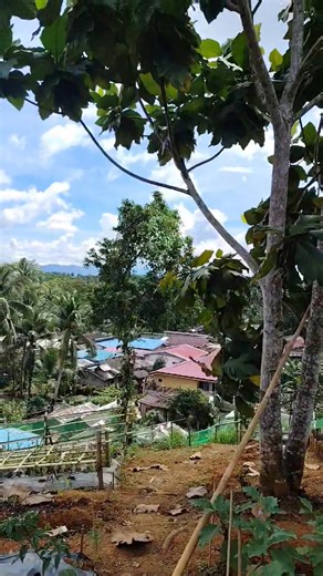 3 comments | Welcome to my Sustainable Livelihood Program SLP monitoring day, but before that maki Marites usa kos ilang project nga gulayan. | Ann Bugias Espedillon - Eco | Facebook