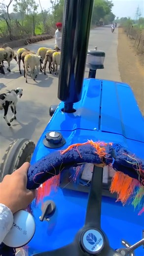 king👑 simba❤️ on Instagram: "#10k :;/ 50k”;100k😍"