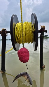 117K views · 493 reactions | Unbelievable amazing trap fishing system #fish #trap #fishing | Discovery Site | Facebook