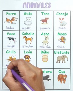 6.8M views · 34K reactions | 16 nombres de sonidos de animales. ✌️ | IngE Darwin 2.0 | Facebook