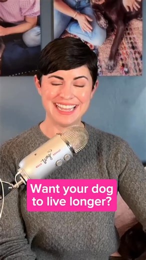 Did you know your dog’s social life can actually help them live longer? One of the most powerful predictors of health span in dogs is meaningful social connections - just like with people living in the Blue Zones! But socializing doesn’t mean a dog park full of stranger dangers🙅🏻‍♀️ Instead, try parallel walking with a friend and their dog, greeting friendly neighbors, or playing with a small group of doggy pals. You don’t need dog park drama to give your dog the social enrichment they crave. 