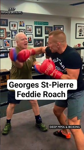 GSP boxing training with Freddie Roach