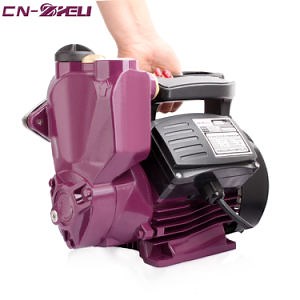 [Hot Item] Domestic Pipe Automatic Home Booster Water Pump for Home Water Heater Shower Booster Pump