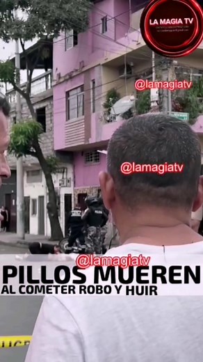 En la 24 y san Martín en Guayaquil, ladones en moto tras huir chocan contra bus urbano eata mañana SÍGUENOS EN #TELEGRAM 👇👇👇 https://t.me/ lFzyHEN3JI4yOTgx | La Magia TvEc