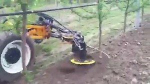 Dream Machines on Reels