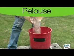 Nourir du gazon avec de l'engrais