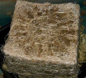 Watering Marijuana & Measuring Root Zone Moisture Content