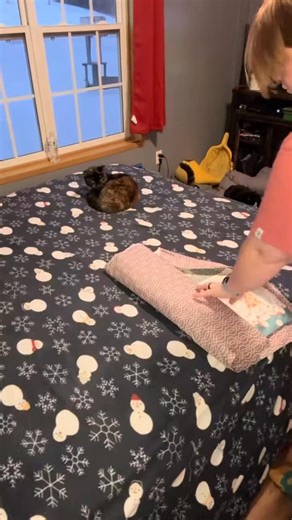Stitch in the ditch quilting technique! Video by Shelby Moore #sewing #jellyrollquilt #tutorial #babyquilt #stitchintheditch #machinequilting | Sharon Green