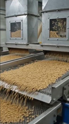 How Flour Is Made: Modern Industrial Wheat Milling Process