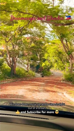 Fire trees and city view in Antipolo Philippines 🇵🇭 #road #antipolo #philippines #shorts