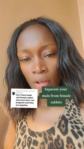 Essential Tips for Successful Rabbit Breeding