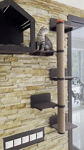 Cat Tree for Large Cats Cat Tree for Big Cats Large Cat Tree Large Cat Tower Cat Tree Floor to Ceiling Tall Cat Scratcher Gifts for Cats - Etsy