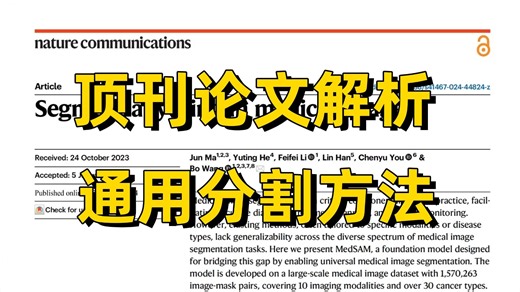 医学影像分割论文带读解析--MedSAM/深度学习