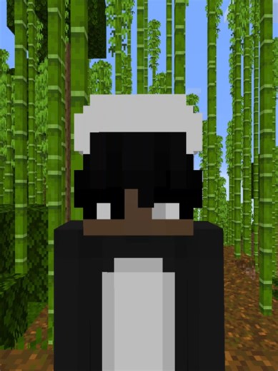 i was talking to myself for 1 hour you better like or sum.#mcyt #funny #minecraft #smp #minecraftmemes #smallmcyt