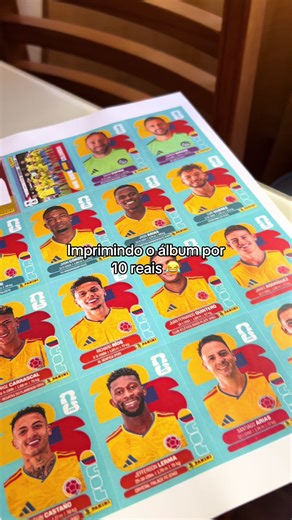 PDF 10R$ ⚽️🔥 quem tiver interesse é só chamar aq ou comentar #futebol #copadomundo #figurinha #viral