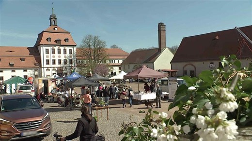 Kirschblütenfest auf dem Rittergut Prießnitz gestartet