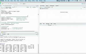 #03 command: summary, describe; 使用R生成subsample子样本