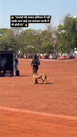 Commando Short||coras commando|| #bollywood #hindisong #army #police #ytshorts #rpf #commandoanilrpf