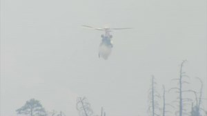 Oak Fire: Full containment expected by Wednesday, CAL FIRE says