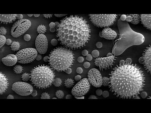 Pure Air 3000 and 1500 Air Purifiers Overview