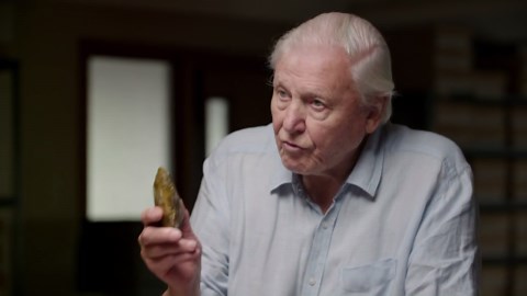 Great Mammoth Mystery