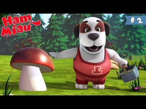 Ham Miau 🐶 Culegatorii de ciuperci 🐱 Desene animate