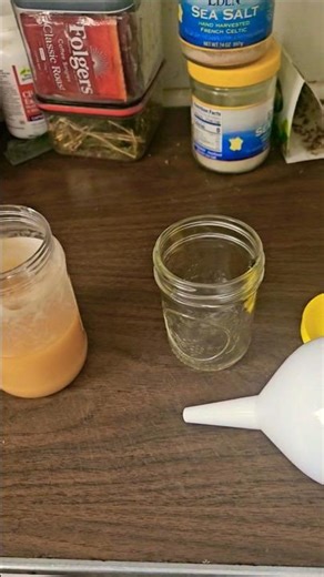 #fly #trap #flytrap #easy #inexpensive #green