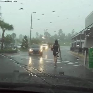 604K views · 6.7K reactions | BIZARRE: Florida woman caught on video holding pitchfork and whip, trying to sell teddy bears before arrest. https://fxn.ws/3z8L3SG | Fox News | Facebook