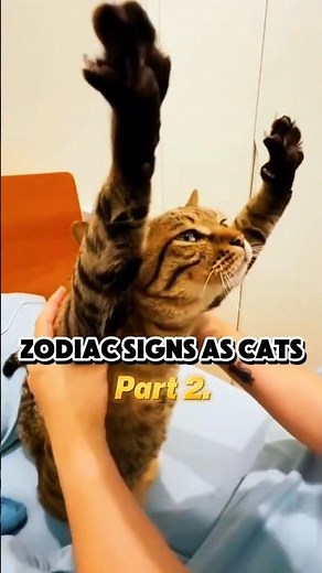 The zodiac signs as Cats (part 2) #zodiacsigns #funnycats #astrology