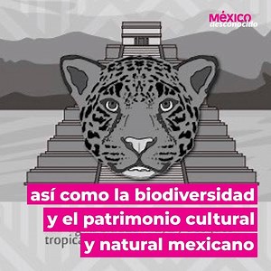 Pronto entrará en circulación el nuevo billete de 1000 pesos. Será un homenaje a la Revolución Mexicana, al jaguar y a la antigua ciudad de Calakmul. 👉🏽 https://www.mexicodesconocido.com.mx/billete-de-1000-pesos.html | México Desconocido