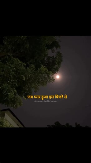 ❤️‍啕輸 on Instagram: "Bhul jao?﫠 . . . . . . #réelitfeelit #reels #reelkarófeelkaro #relatable #instagram #fypppppppppppppppppppppppppppppppppppppppppppppppppppppppppppppppppppppp #oldsongs #reelinstagram #trending #foryoupage #fyp #humterepyarmeinsaraalam #latamangeshkar #viral #love #bollywood #brokenheart #trending #explore (Lata Mangeshkar,hum tere pyar mein sara aalam,dil ek mandir,old songs, heart break, trending, bollywood,viral,reels)"